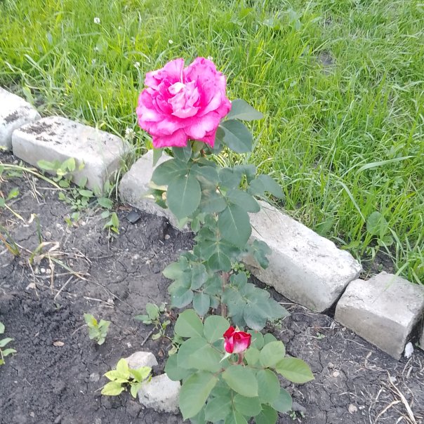 превью изображения отзыва