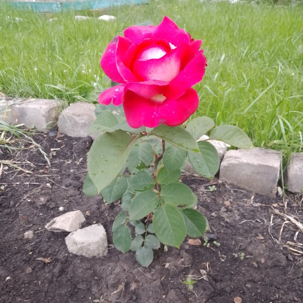 превью изображения отзыва