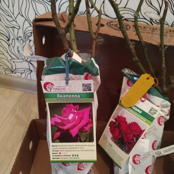 превью изображения отзыва