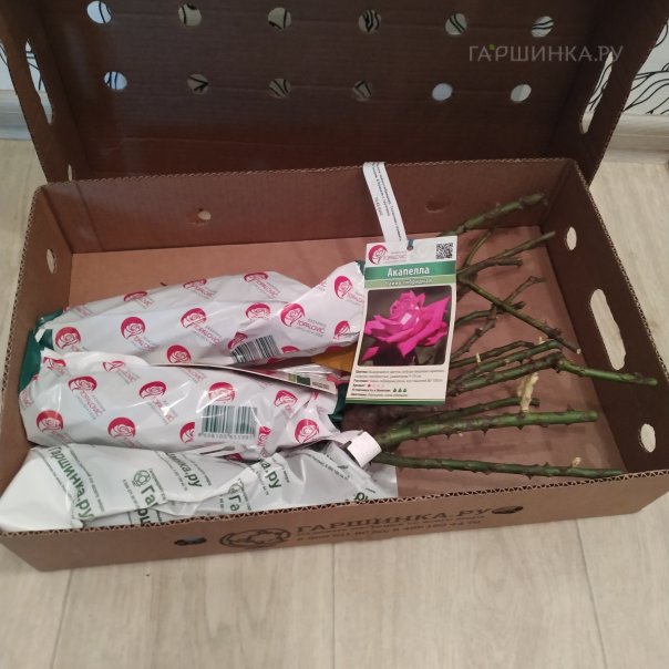 превью изображения отзыва