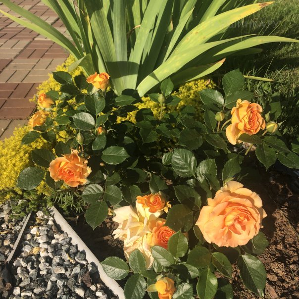 превью изображения отзыва