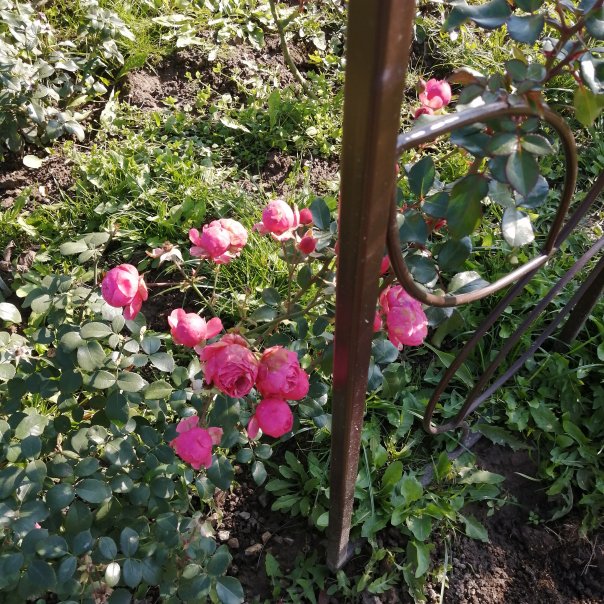 превью изображения отзыва