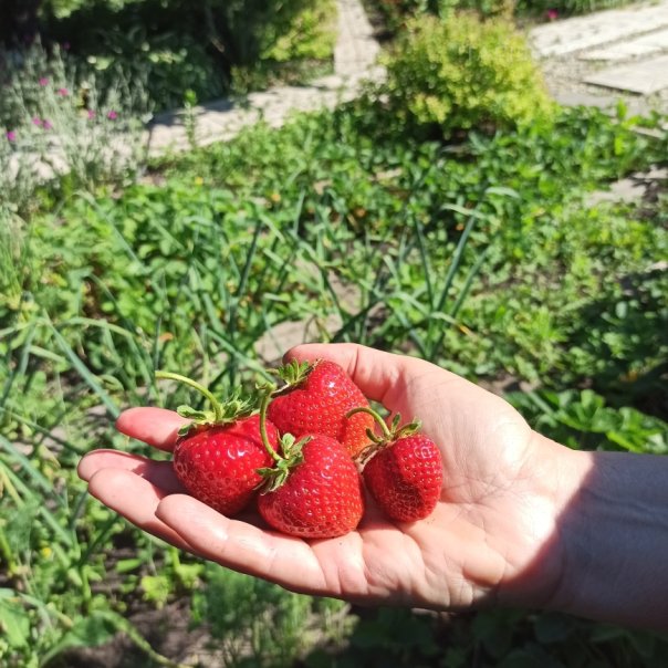 превью изображения отзыва