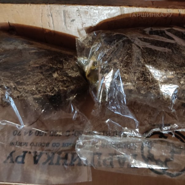 превью изображения отзыва