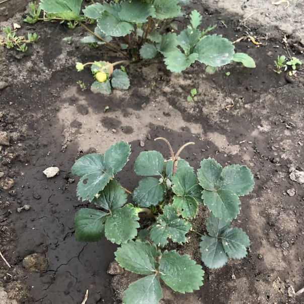 превью изображения отзыва