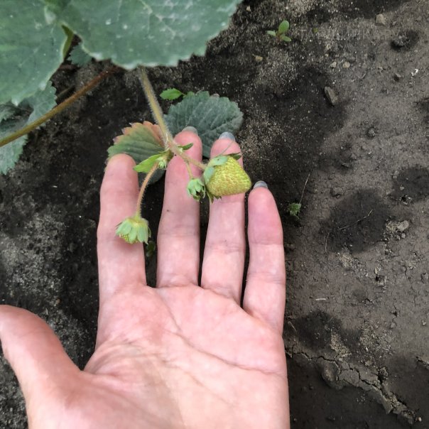 превью изображения отзыва