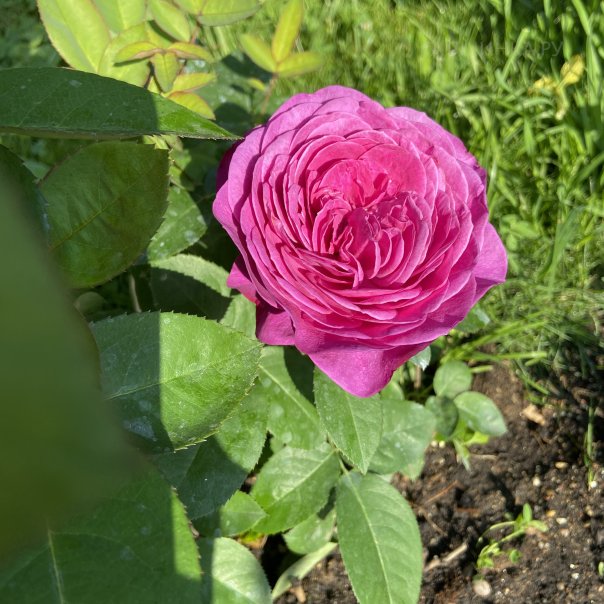 превью изображения отзыва