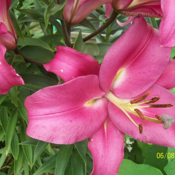 превью изображения отзыва