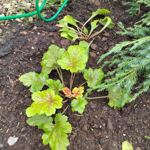 превью изображения отзыва