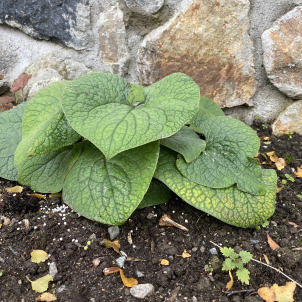 превью изображения отзыва