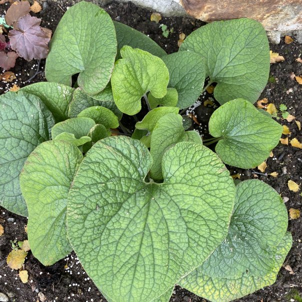 превью изображения отзыва