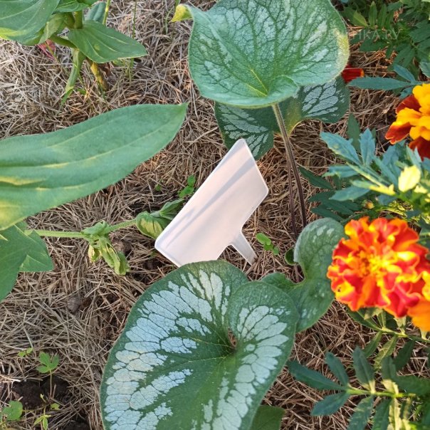 превью изображения отзыва