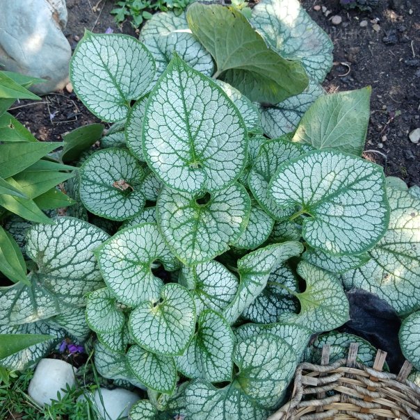 превью изображения отзыва