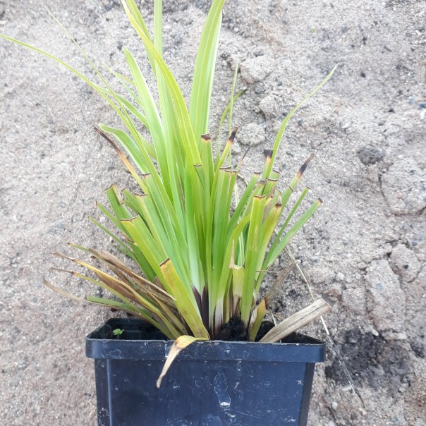 превью изображения отзыва