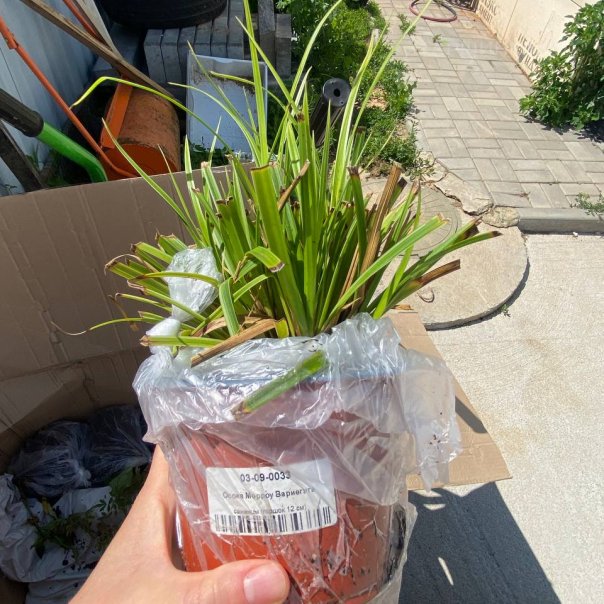 превью изображения отзыва