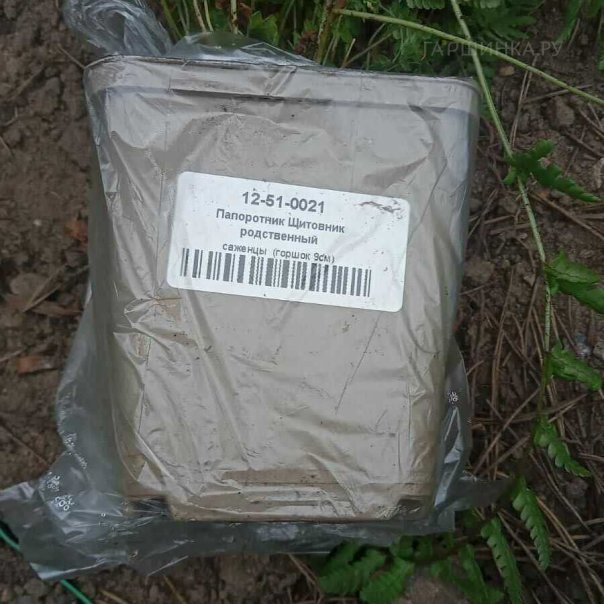 превью изображения отзыва