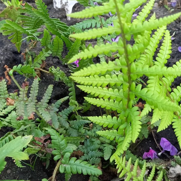 превью изображения отзыва