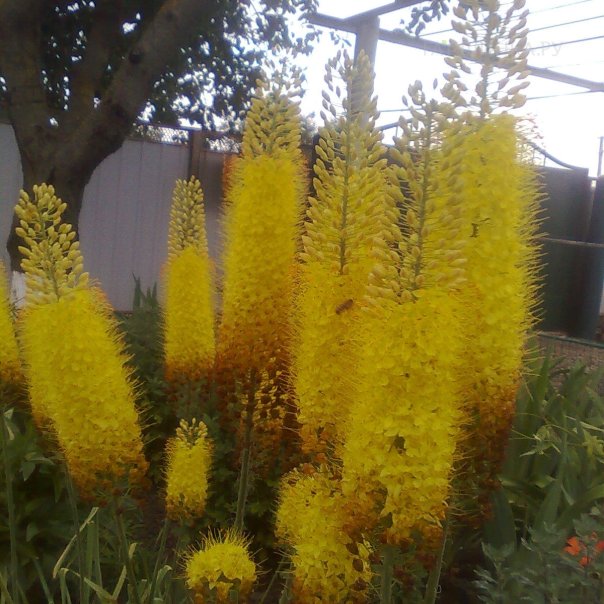 превью изображения отзыва