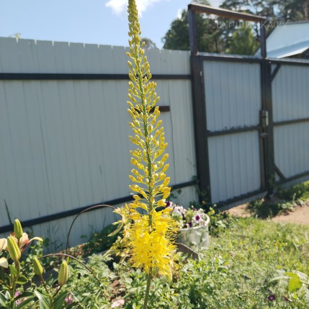 превью изображения отзыва