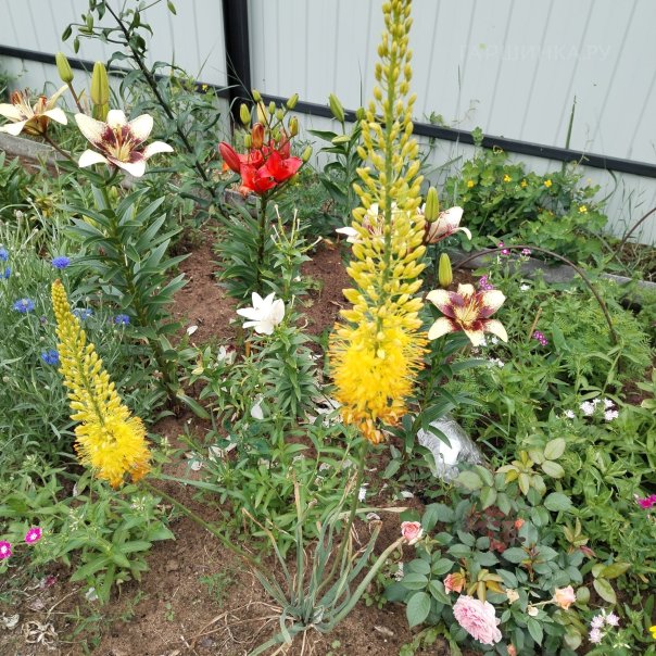 превью изображения отзыва