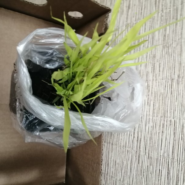 превью изображения отзыва