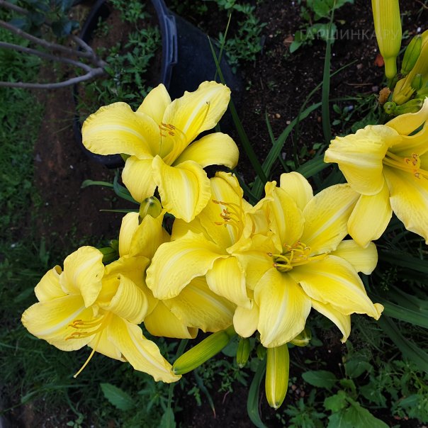 превью изображения отзыва