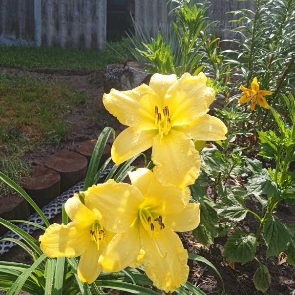 превью изображения отзыва