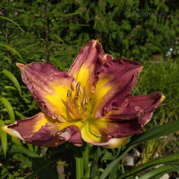 превью изображения отзыва