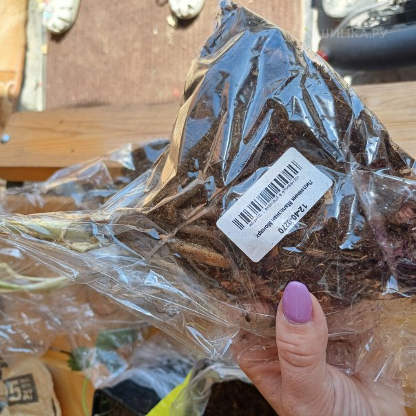 превью изображения отзыва