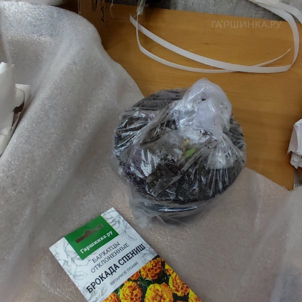 превью изображения отзыва