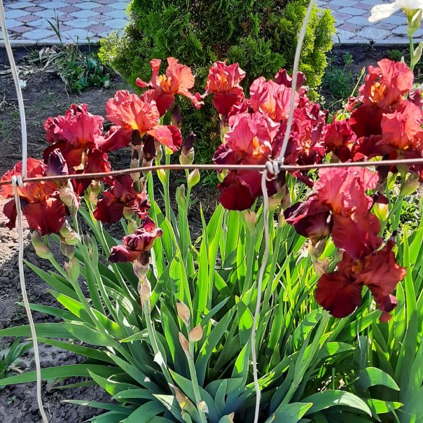 превью изображения отзыва