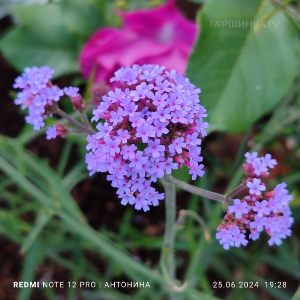 превью изображения отзыва