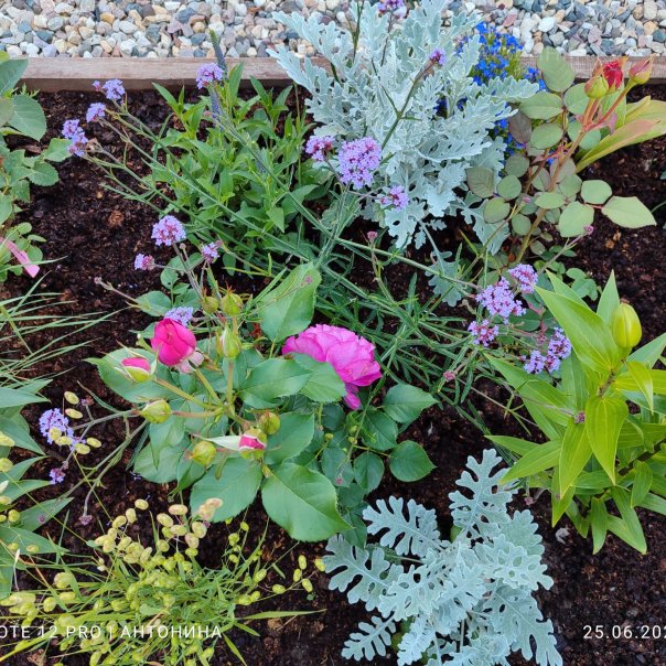 превью изображения отзыва