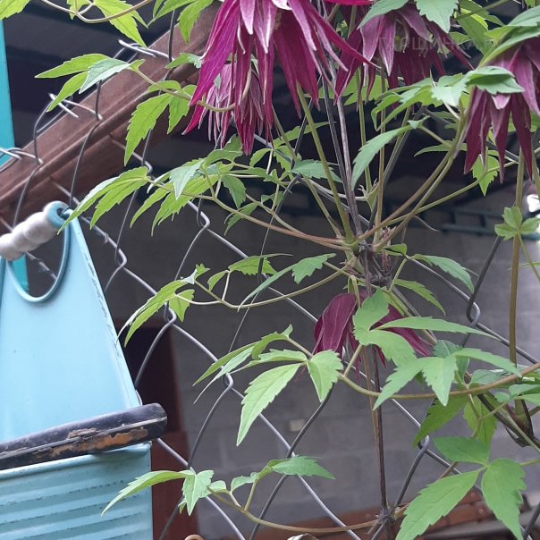 превью изображения отзыва