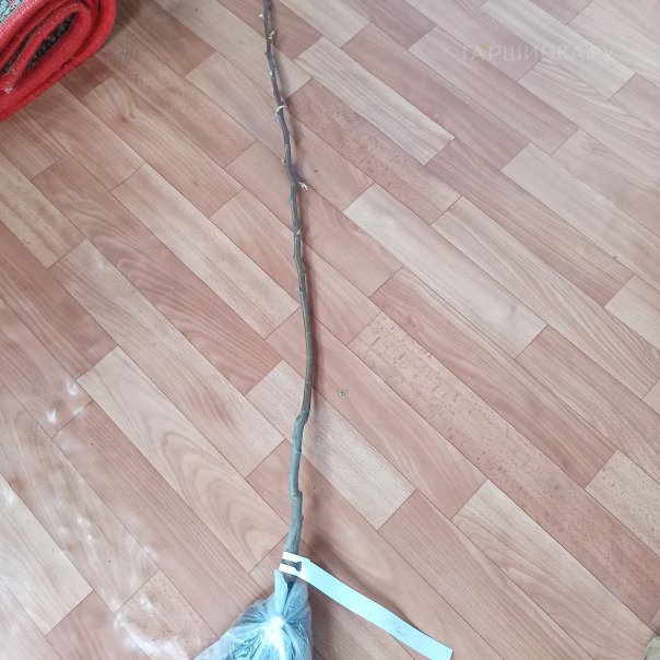 превью изображения отзыва