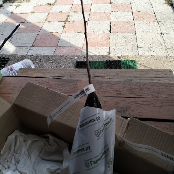 превью изображения отзыва