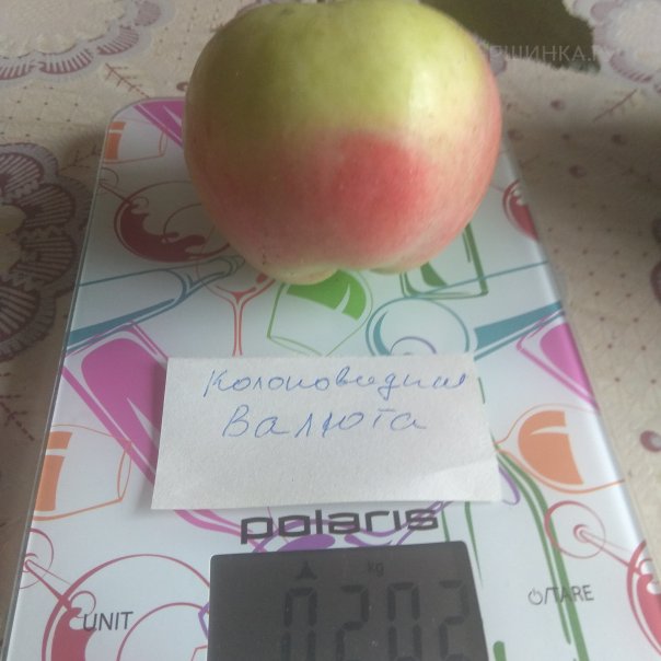 превью изображения отзыва