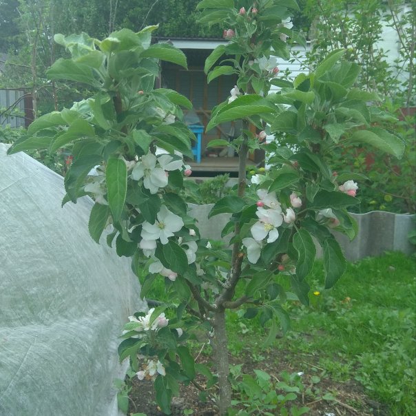 превью изображения отзыва