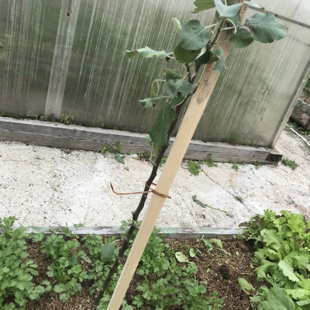 превью изображения отзыва