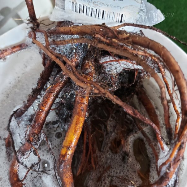 превью изображения отзыва