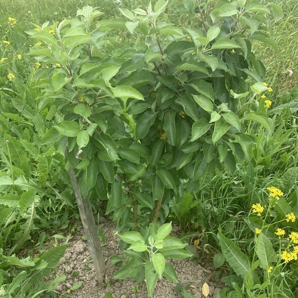 превью изображения отзыва