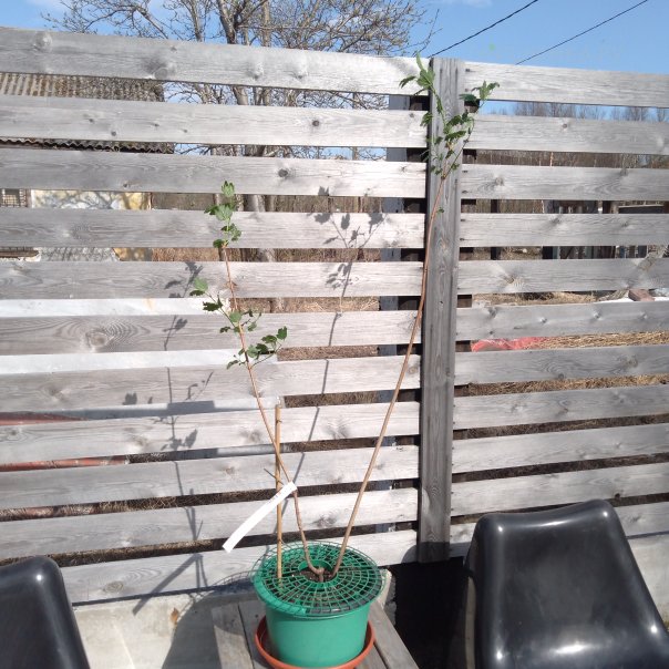 превью изображения отзыва