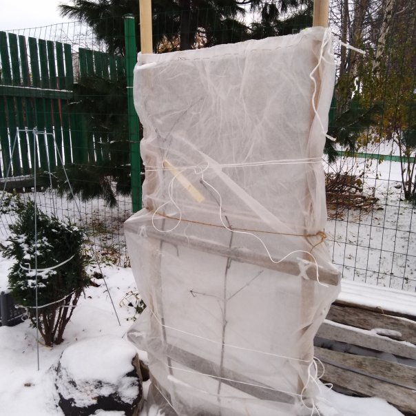 превью изображения отзыва