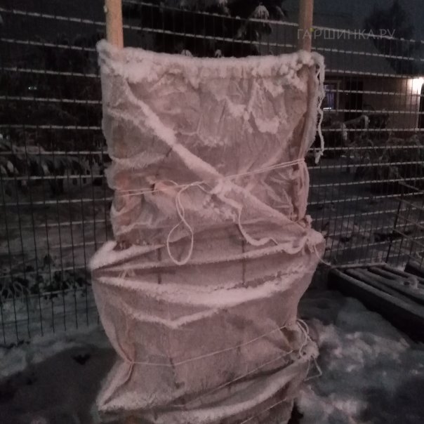 превью изображения отзыва