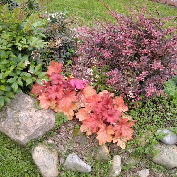 превью изображения отзыва