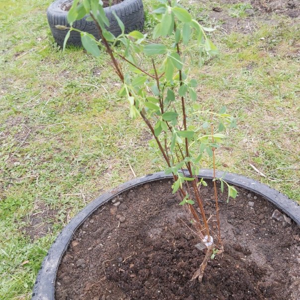 превью изображения отзыва