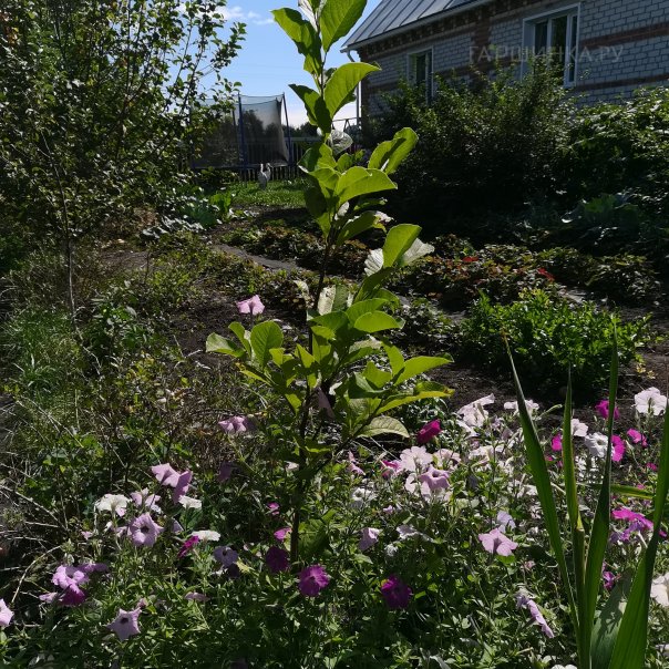 превью изображения отзыва