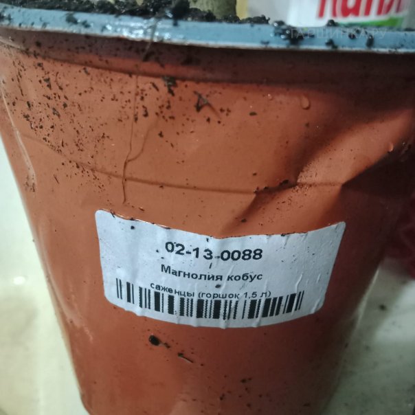 превью изображения отзыва