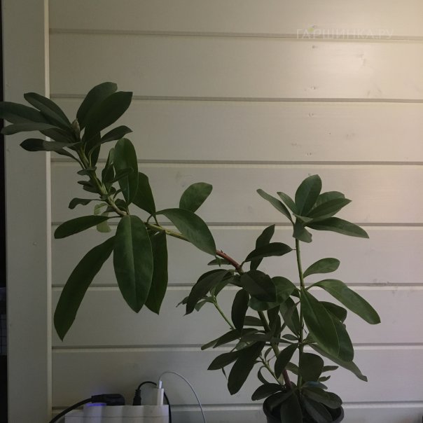 превью изображения отзыва