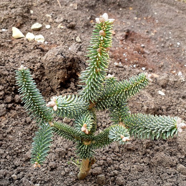 превью изображения отзыва